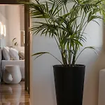 Apartament Aparktion The Grand Maistro Lixouri