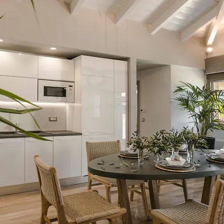 Aparktion The Grand Maistro