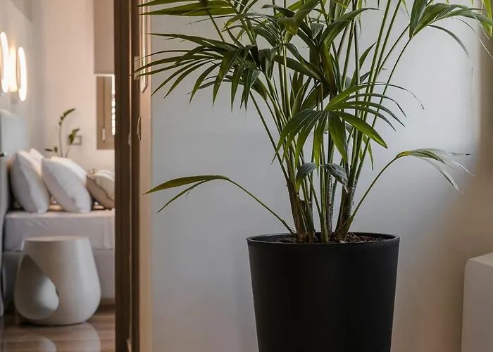 Lejlighed Aparktion The Grand Maistro Lixouri